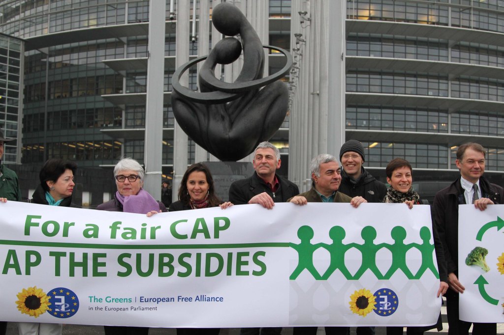 The European Union’s Common Agricultural Policy