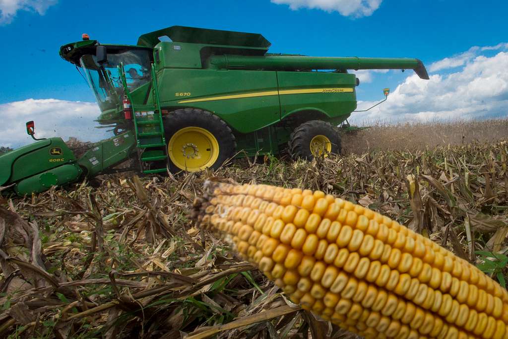 The Pros and Cons of Food Subsidies